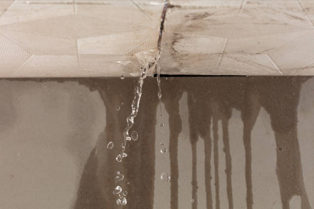 Professional Water Damage Repair technician working in Texas, TX
